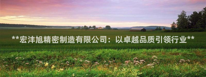 彩神vip购彩大厅在哪：**宏沣旭精密制造有限公司：以卓越品质引领行业**