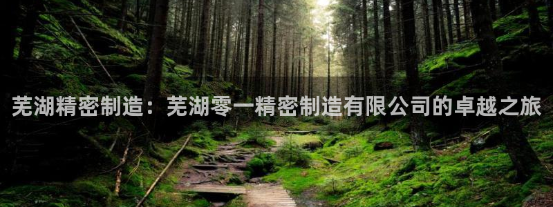 彩神是正规平台吗安全吗：芜湖精密制造：芜湖零一精密制造有限公司的卓越之旅