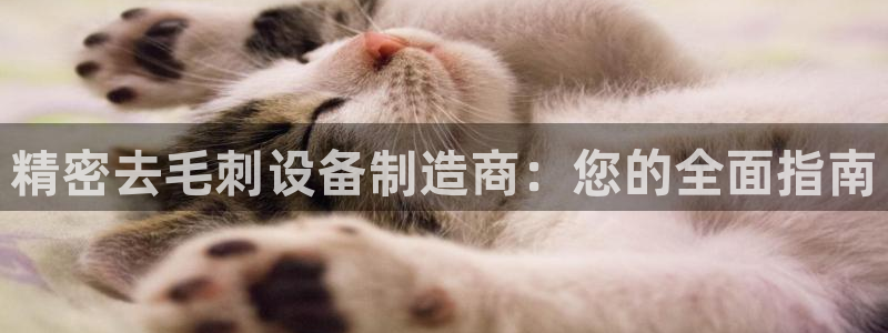彩神v8平台正规吗知乎：精密去毛刺设备制造商：您的全面指南