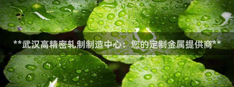 彩神vii手游下载：**武汉高精密轧制制造中心：您的定制金属提供商**