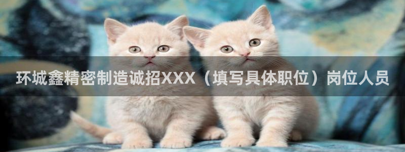 彩神v大众娱乐：环城鑫精密制造诚招XXX（填写具体职位）岗位人员