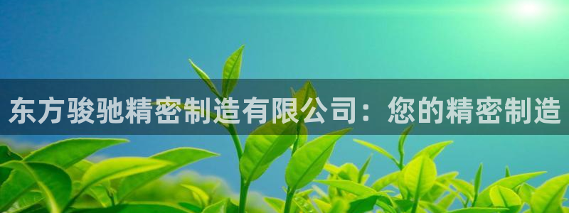 彩神v8首页：东方骏驰精密制造有限公司：您的精密制造