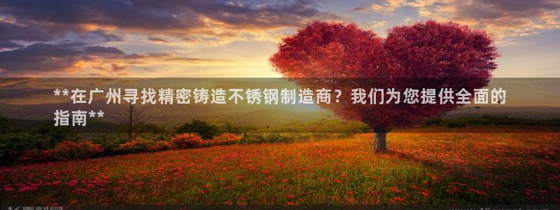 彩神平台是什么套路：**在广州寻找精密铸造不锈钢制造商？我们为您提供全面的
指南**