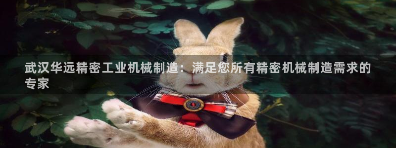 彩神是怎样一个平台赚钱的：武汉华远精密工业机械制造：满足您所有精密机械制造需求的
专家