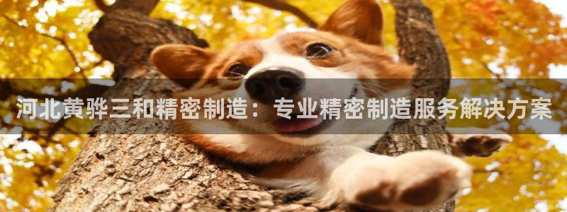 彩神8是正规平台吗：河北黄骅三和精密制造：专业精密制造服务解决方案