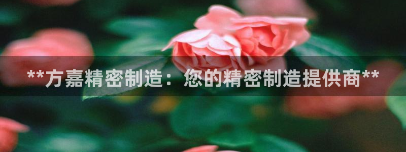 彩神旗下有哪些平台可以看：**方嘉精密制造：您的精密制造提供商**
