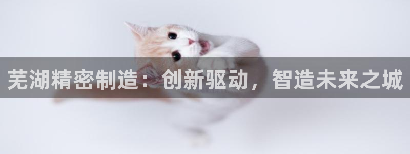 彩神v1破解器：芜湖精密制造：创新驱动，智造未来之城
