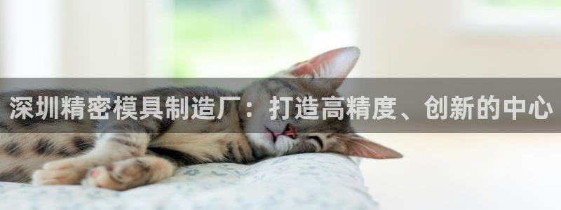 彩神vi官网版：深圳精密模具制造厂：打造高精度、创新的中心