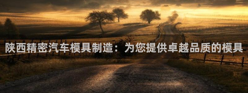 彩神v违法么：陕西精密汽车模具制造：为您提供卓越品质的模具