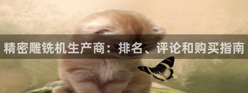 彩神平台是真的吗：精密雕铣机生产商：排名、评论和购买指南