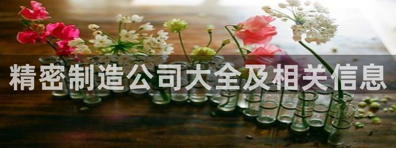 下载彩神乐发V1：精密制造公司大全及相关信息