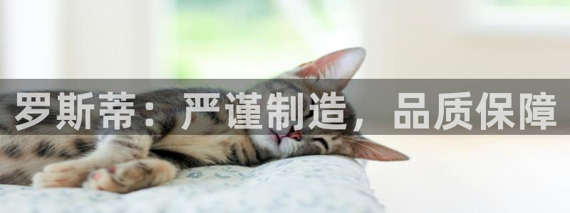 彩神v大众娱乐：罗斯蒂：严谨制造，品质保障