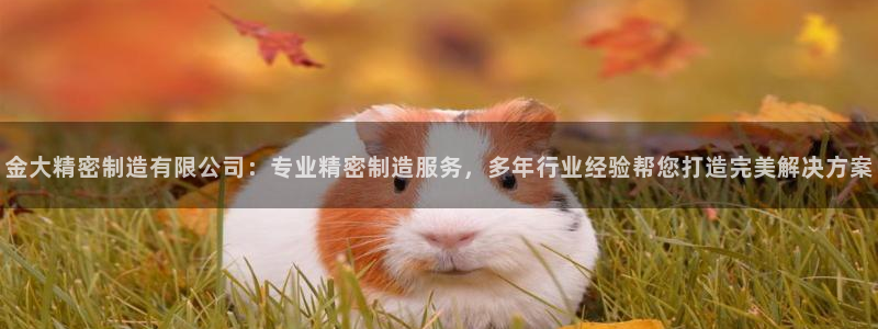 新版彩神v8登录：金大精密制造有限公司：专业精密制造服务，多年行业经验帮您打造完美解决方案