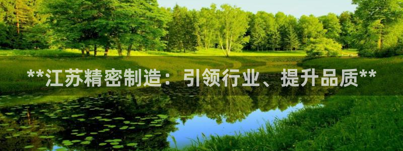 彩神v网赌软件下载：**江苏精密制造：引领行业、提升品质**