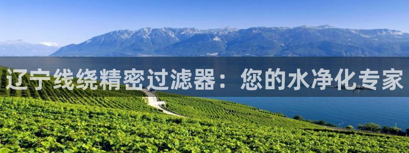 彩神v8是一个什么平台：辽宁线绕精密过滤器：您的水净化专家