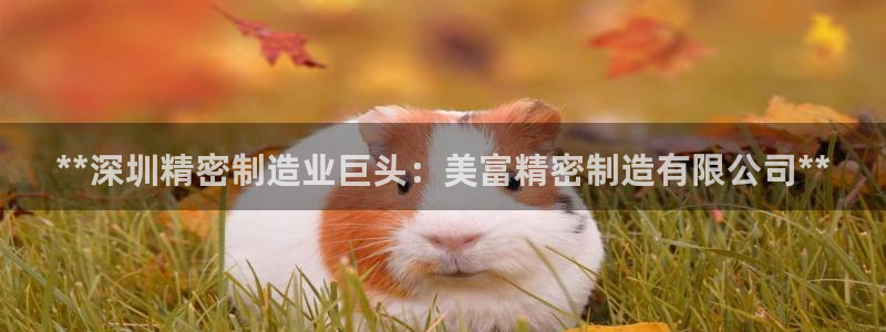 彩神天下专家专栏：*